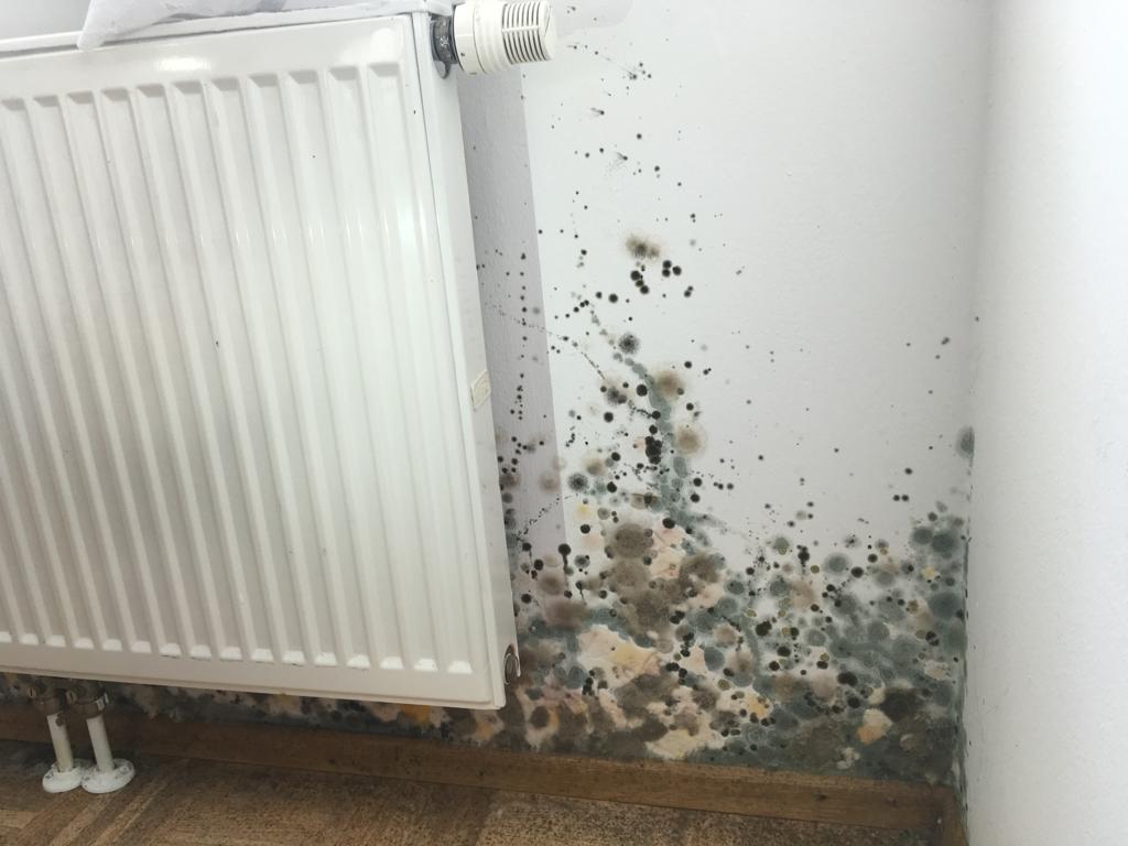 Starker Schimmelbefall an einer Wand hinter und neben einem Heizkörper