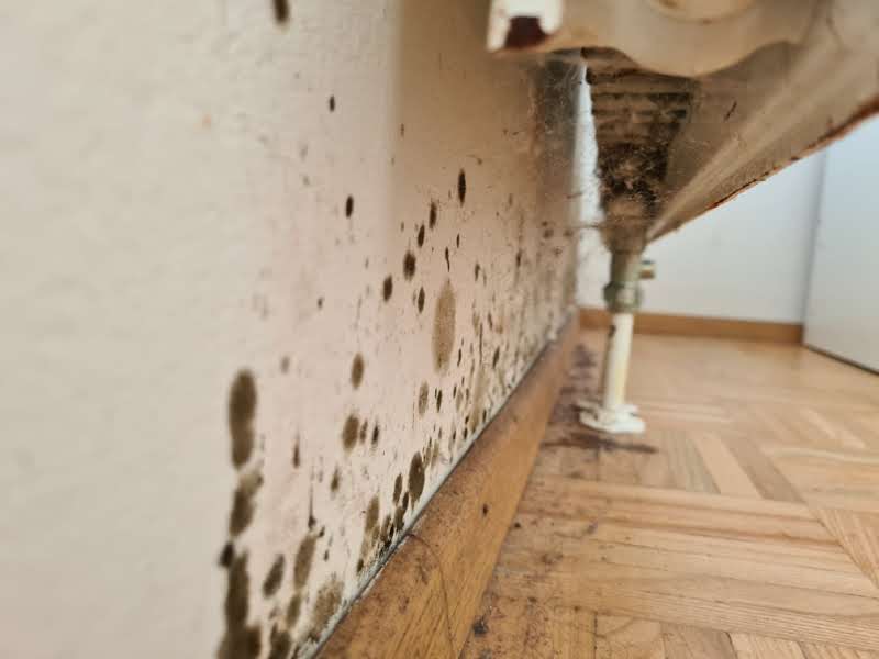 Verdeckter Schimmelbefall an einer Wand hinter einem Heizkörper