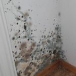 Schimmelbildung hinter einem Heizkörper an einer Außenwand in einer Wohnung